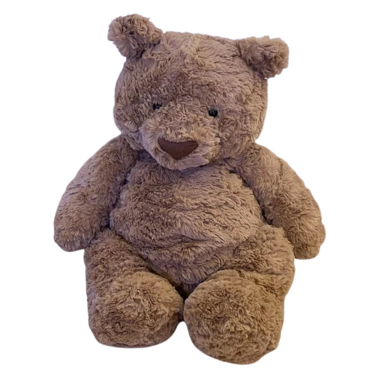 Teddy l’Ours Brun